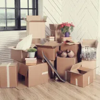 A large pile of boxes, flowers, and other things ready for move